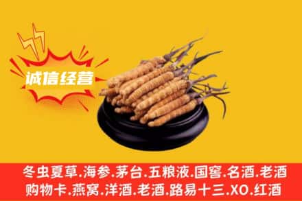 宣城市旌德回收冬虫夏草